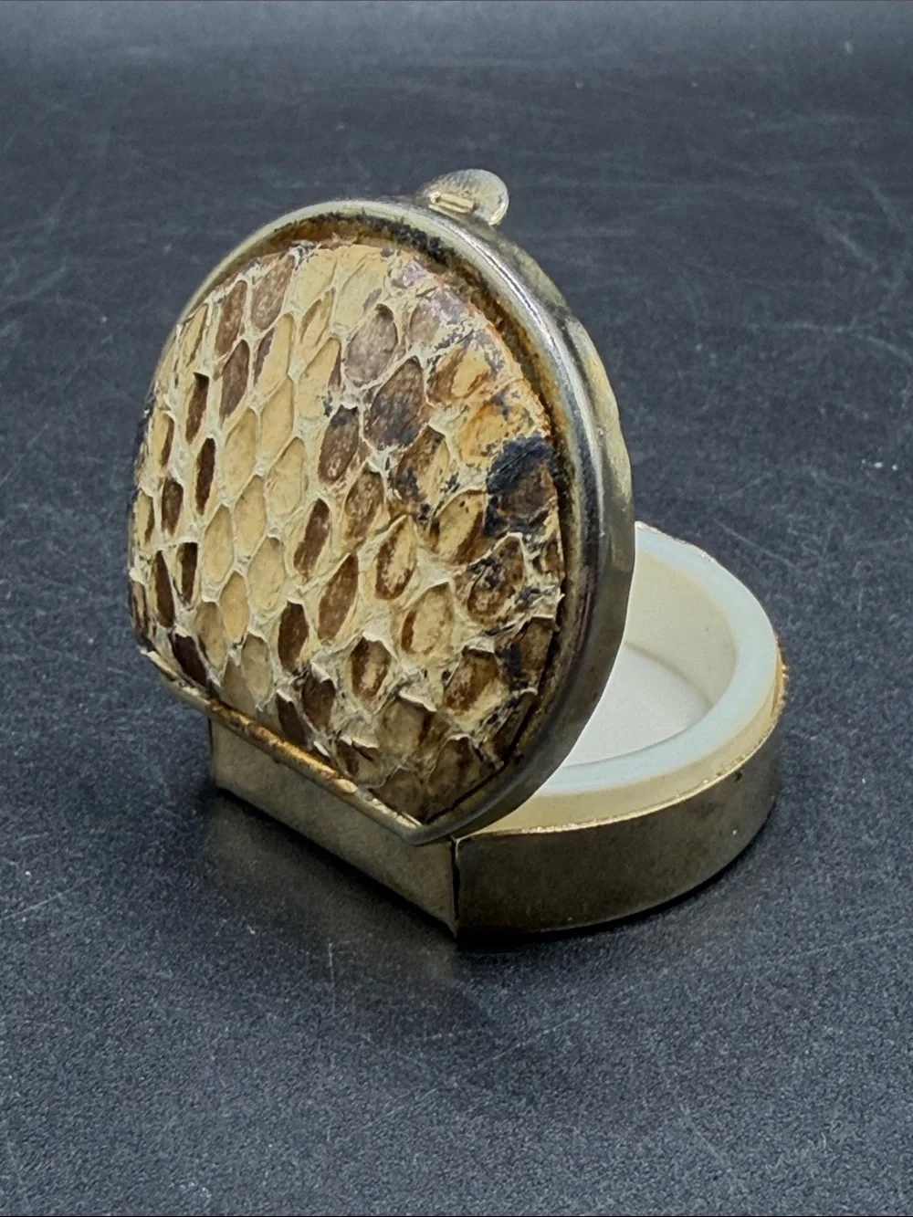 Vintage snakeskin reptile